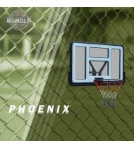 Panneau de basket mural 110 x 75cm - Phoenix