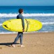 Surfs