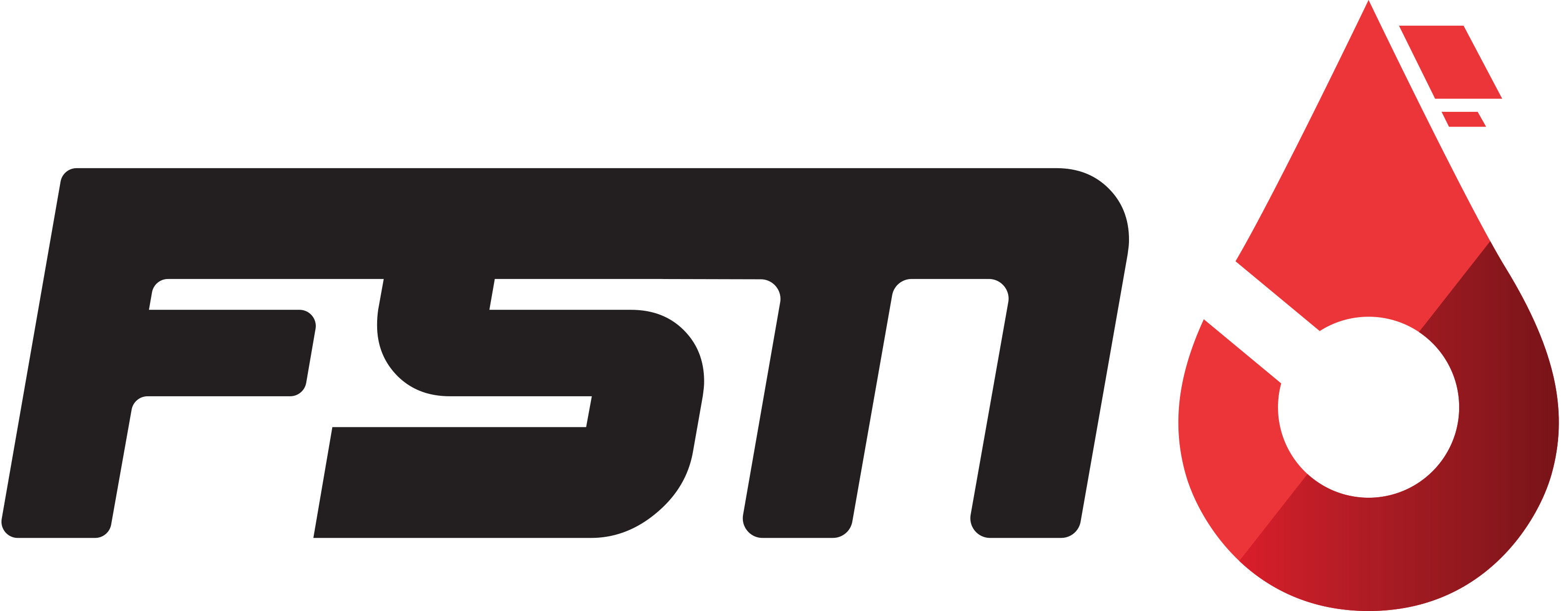 FSN